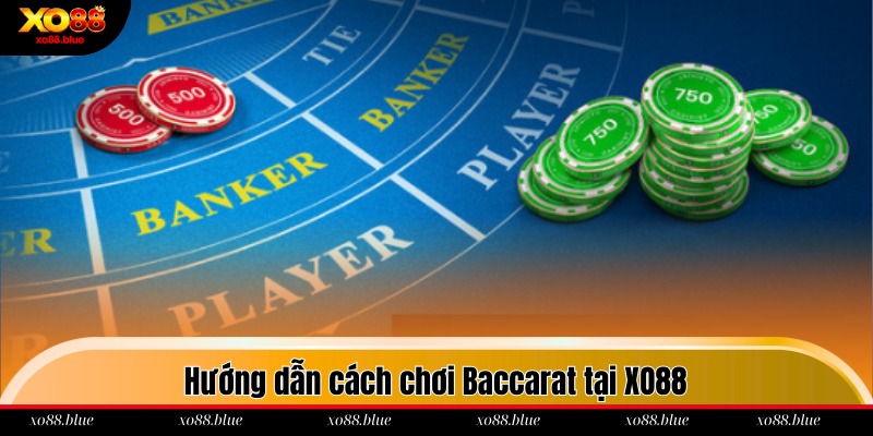 Tổng hợp 3 cửa cược đầu tư trong game Baccarat 