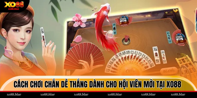 Cách Chơi Chắn Dễ Thắng Dành Cho Hội Viên Mới Tại Xo88 Cách chơi Chắn