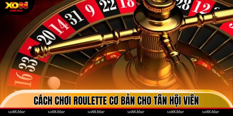 Cách chơi Roulette cơ bản cho tân hội viên