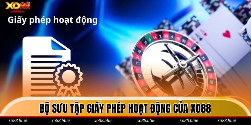 Giấy Phép Hoạt Động Bật mí các loại giấy phép chúng tôi đang có trong bộ sưu tập