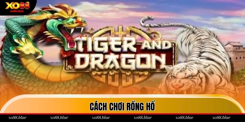 Rồng Hổ Xo88 Hướng dẫn cách chơi Rồng Hổ cơ bản tại xo88