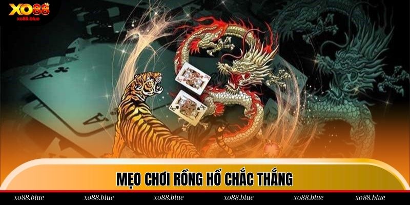 Rồng Hổ Xo88 Mẹo chơi Rồng Hổ xo88 dễ thắng